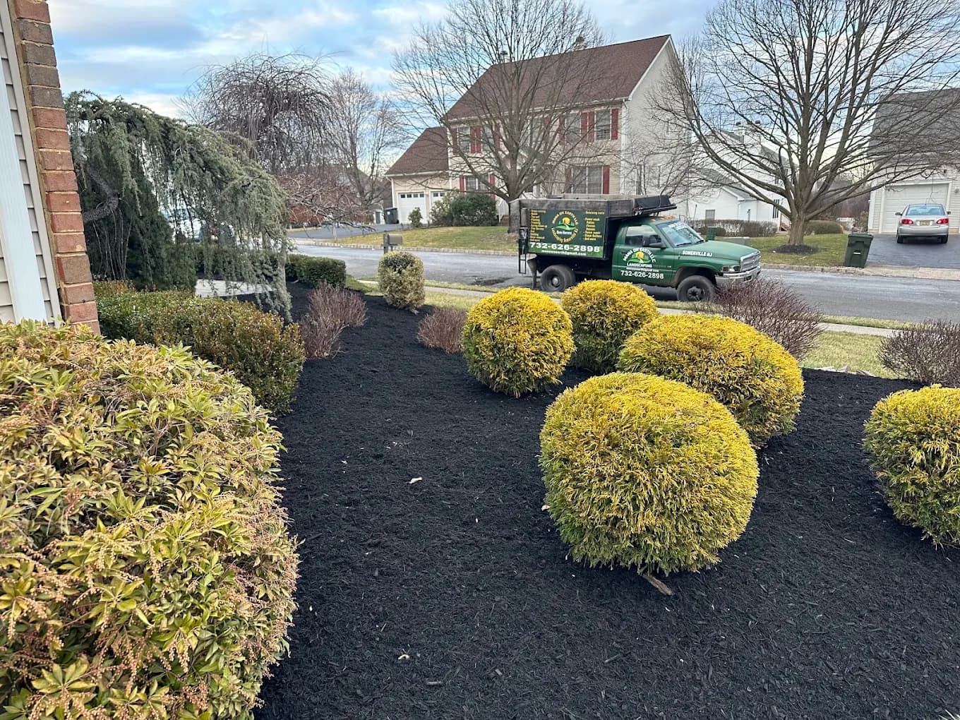 Planting & Sod Installation
