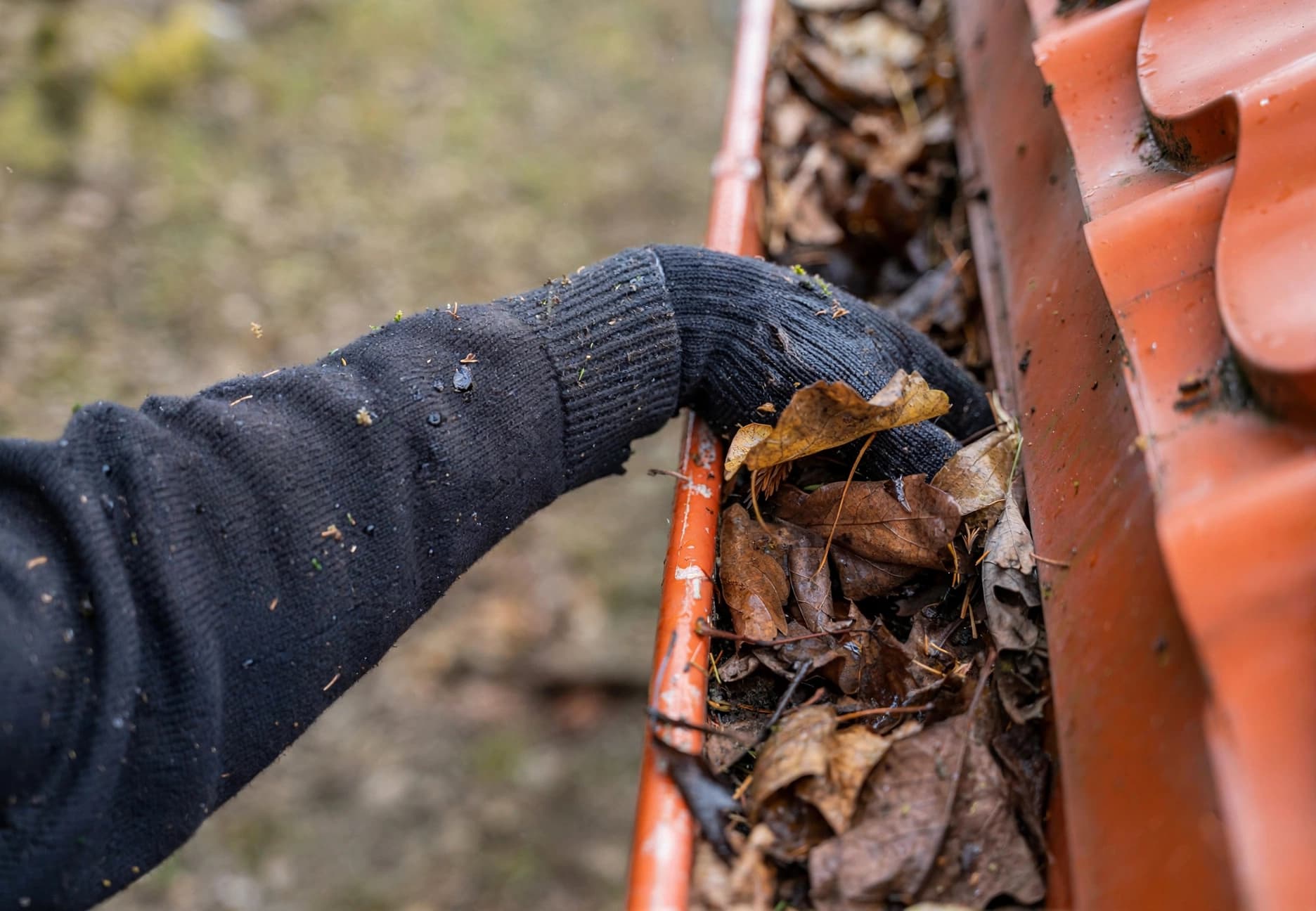 Gutter Cleaning